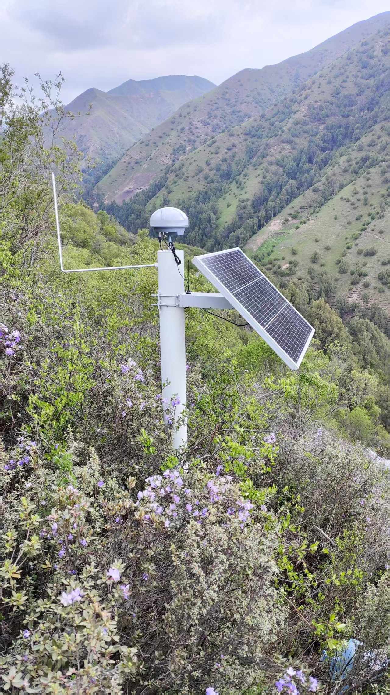 青海同赛一标龙藏山隧道口边坡